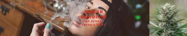 apvp Горняк
