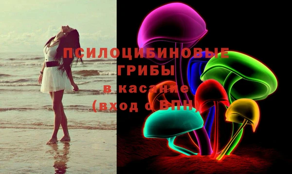 apvp Горняк