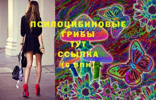 apvp Горняк
