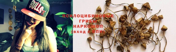 кристаллы Горнозаводск