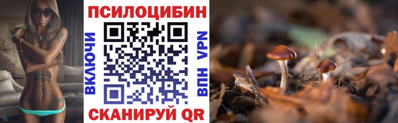 Купить закладки  Красноармейск  Псилоцибиновые грибы MAGIC MUSHROOMS 